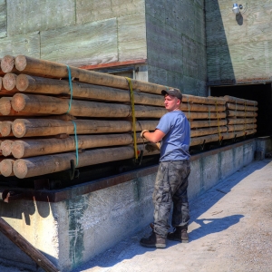 Bundles of posts ready for pressure treating