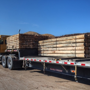 Peeled posts loaded on the truck to go to drying and treating