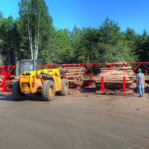 The log sorter