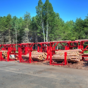 The log sorter