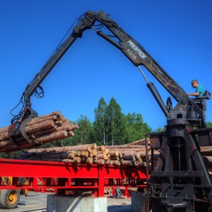 Unloading logs onto the sorter