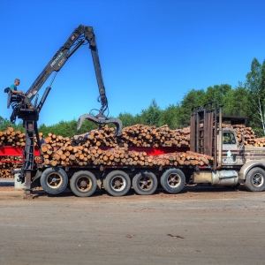 Unloading logs onto the sorter