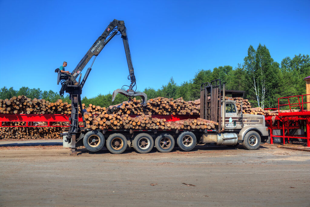 Unloading logs onto the sorter